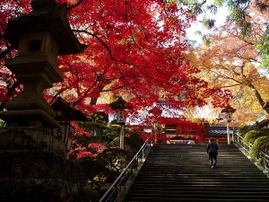 大雄山最乗寺 大雄山最乗寺