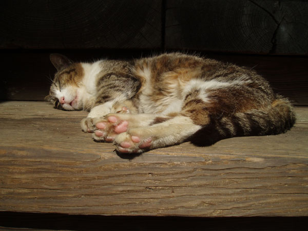 20120519-1.jpg 20120519 1