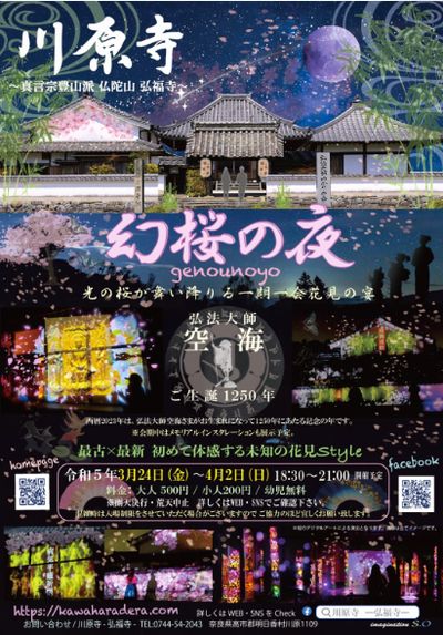 川原寺 幻桜の夜