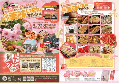 隨心院小野梅園公開