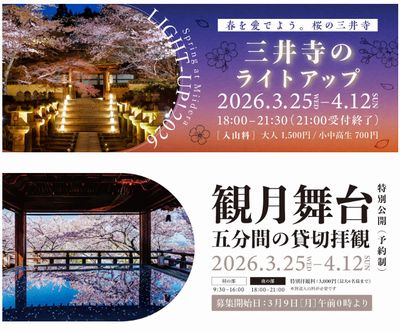 三井寺春のライトアップ