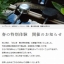 妙心寺春の特別体験
