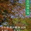 三井寺初夏の特別公開